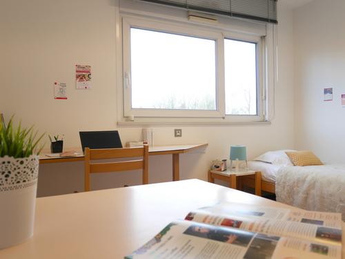 Vue d'ensemble du studio (espace repas, bureau, lit)